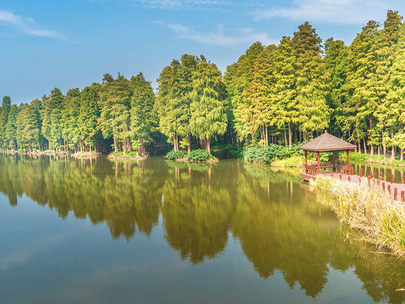 專業(yè)團(tuán)隊(duì)，駕馭創(chuàng)新